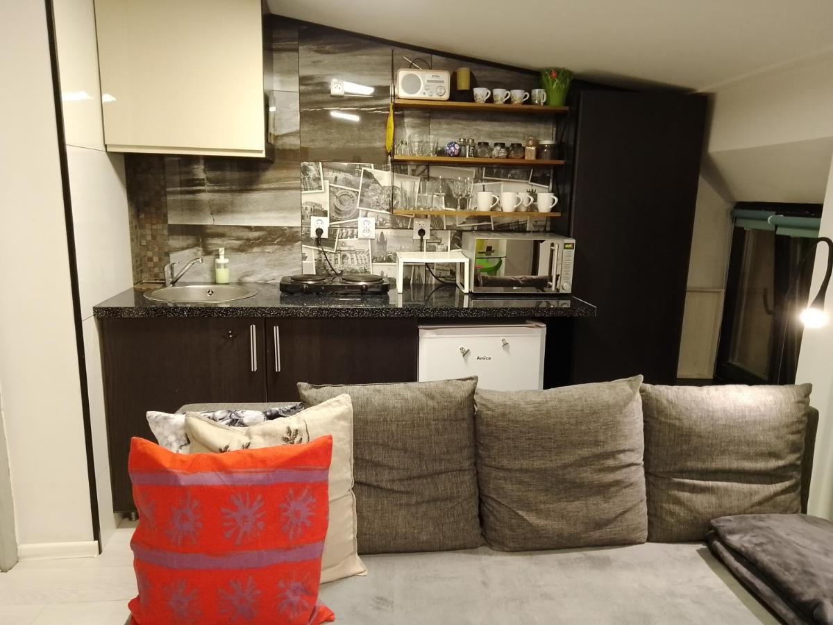 Beautiful Apartment Torun Bagian luar foto