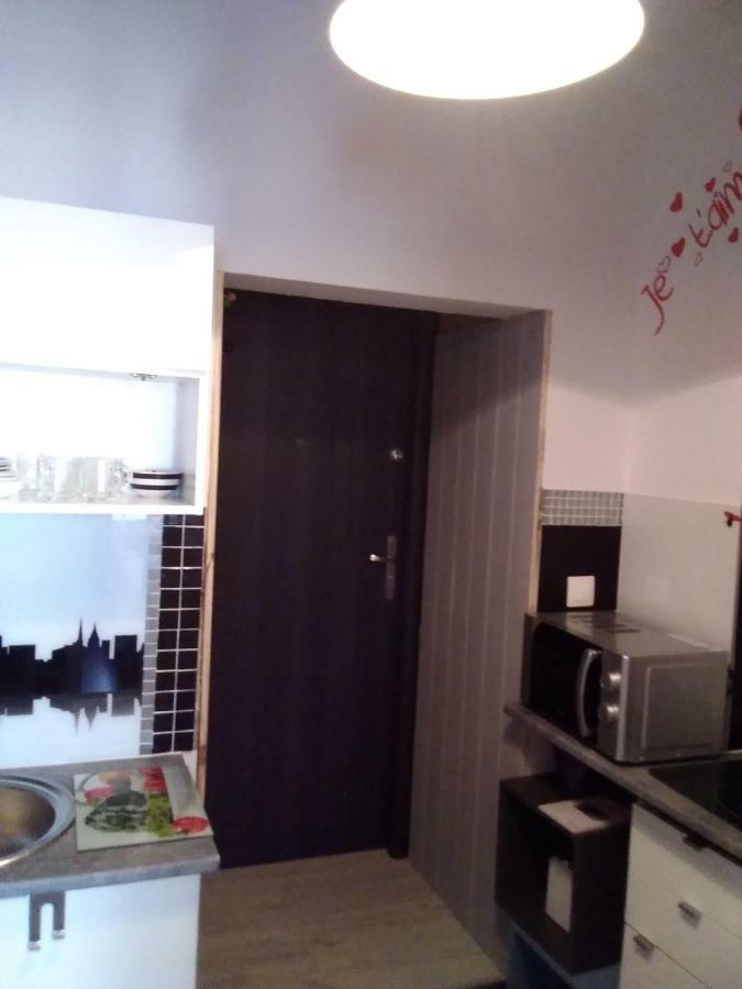 Beautiful Apartment Torun Bagian luar foto